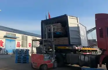Industri Kentang Qinhuangdao Tongyou Hantar 10 Bekas Pati Ubi Keledek Eksport ke Korea Selatan