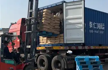 Mengapakah Pembeli Korea Selatan Mengimport Pati Ubi Keledek dari Lulong? Tinjauan Proses Pemuatan dan Penghantaran di Industri Kentang Tongyou